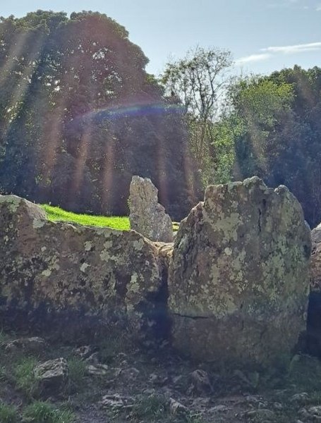 Din Lligwey Anglesey test