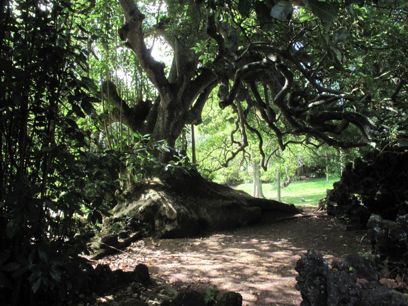 Spirituele reis naar Moor Park in Yorkshire van Centrum Nautilus